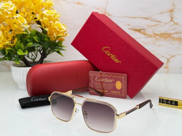 CARTIER Premium Quality Sunglasses 529